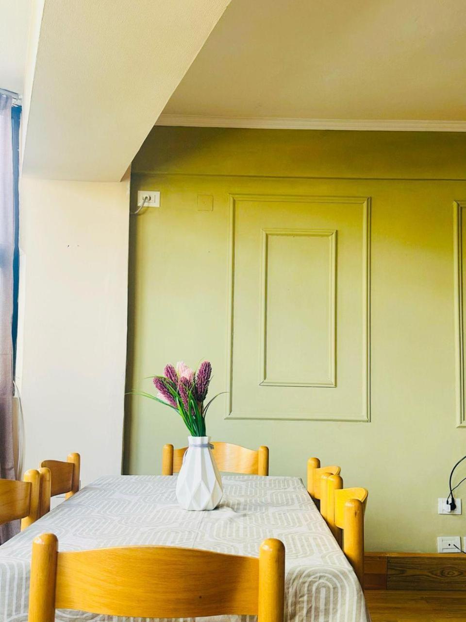 Duplex Apartment-balcony-city Center -7 Guests Tirana